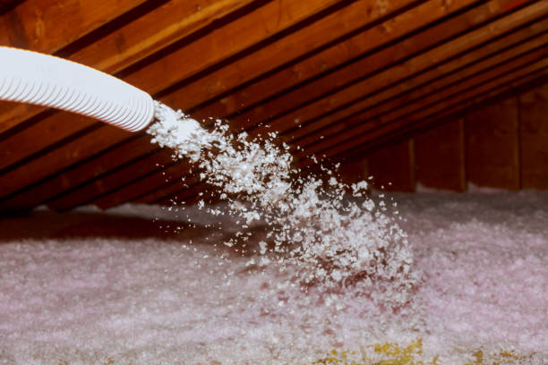Best Insulation Materials and Products in Fannett, TX