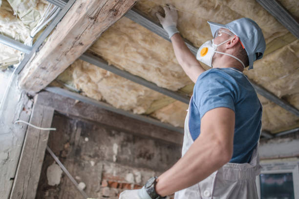 Best Insulation Maintenance and Repair in Fannett, TX