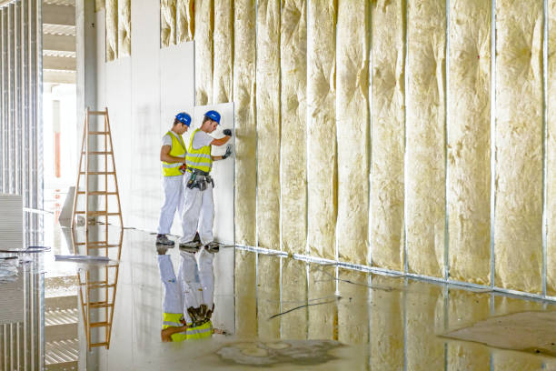 Best Insulation Materials and Products in Fannett, TX